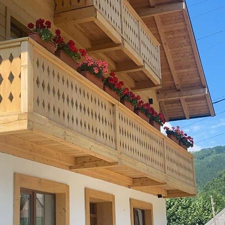 Hotel Anahouse Vişeu de Sus Exterior foto