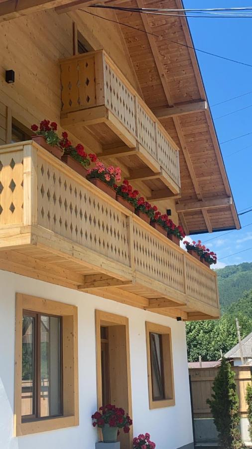 Hotel Anahouse Vişeu de Sus Exterior foto