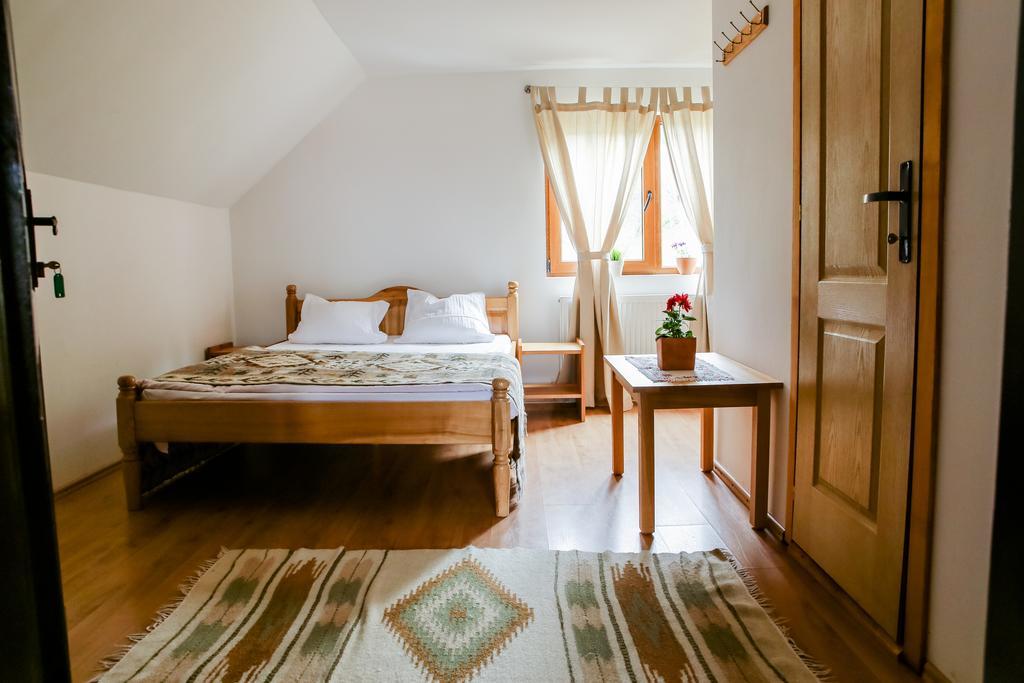 Hotel Anahouse Vişeu de Sus Habitación foto